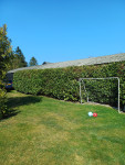 groot grasveld met voetbalgoal